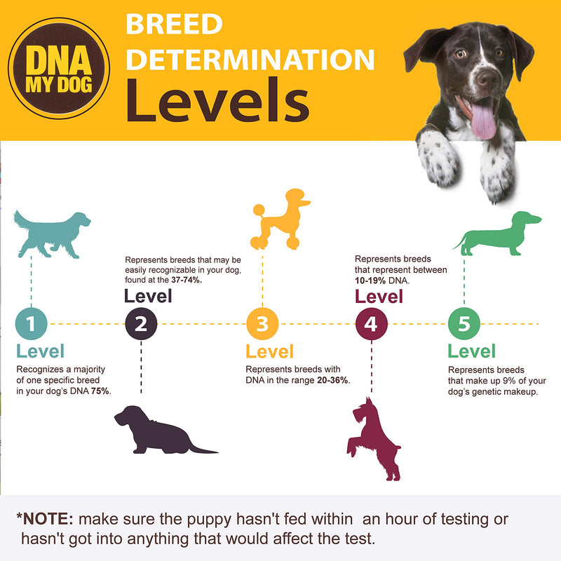DNA My Dog Canine Breed Identification Test - PawsPlanet Australia