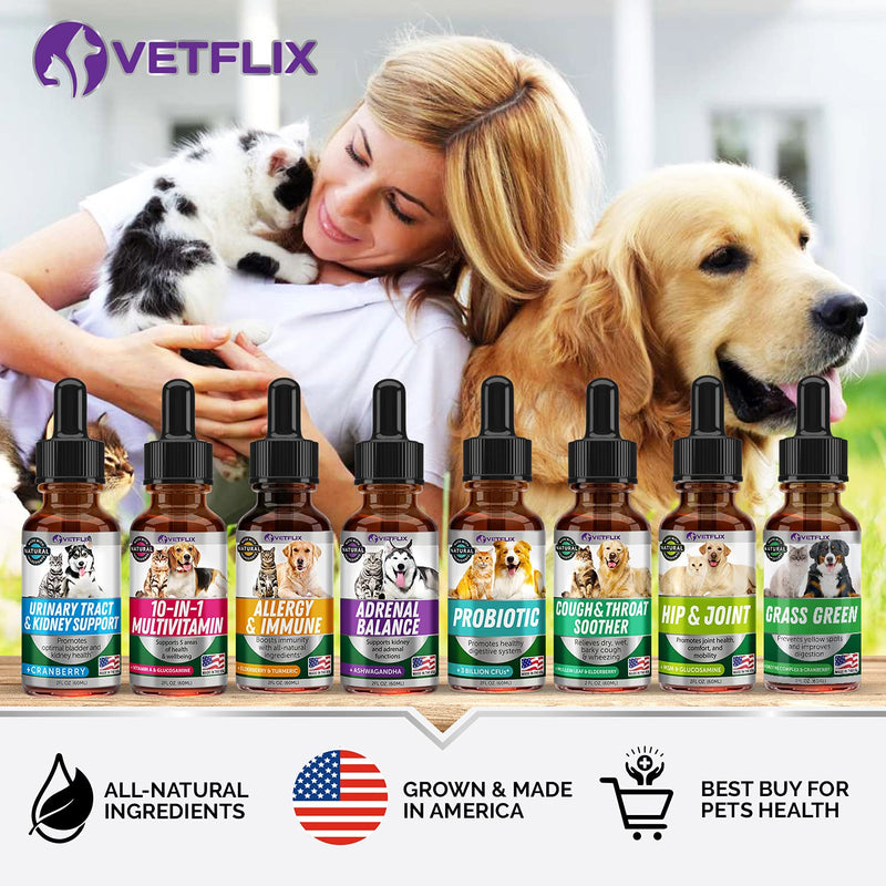 Kennel Cough Treatment for Dogs & Cats - Made in USA - Dog Allergy & Cat Asthma Relief - Mullen Leaf & Elderberry Blend - Dry, Wet & Barky Cough Relief for Dogs & Cats - All Breeds & Sizes - PawsPlanet Australia