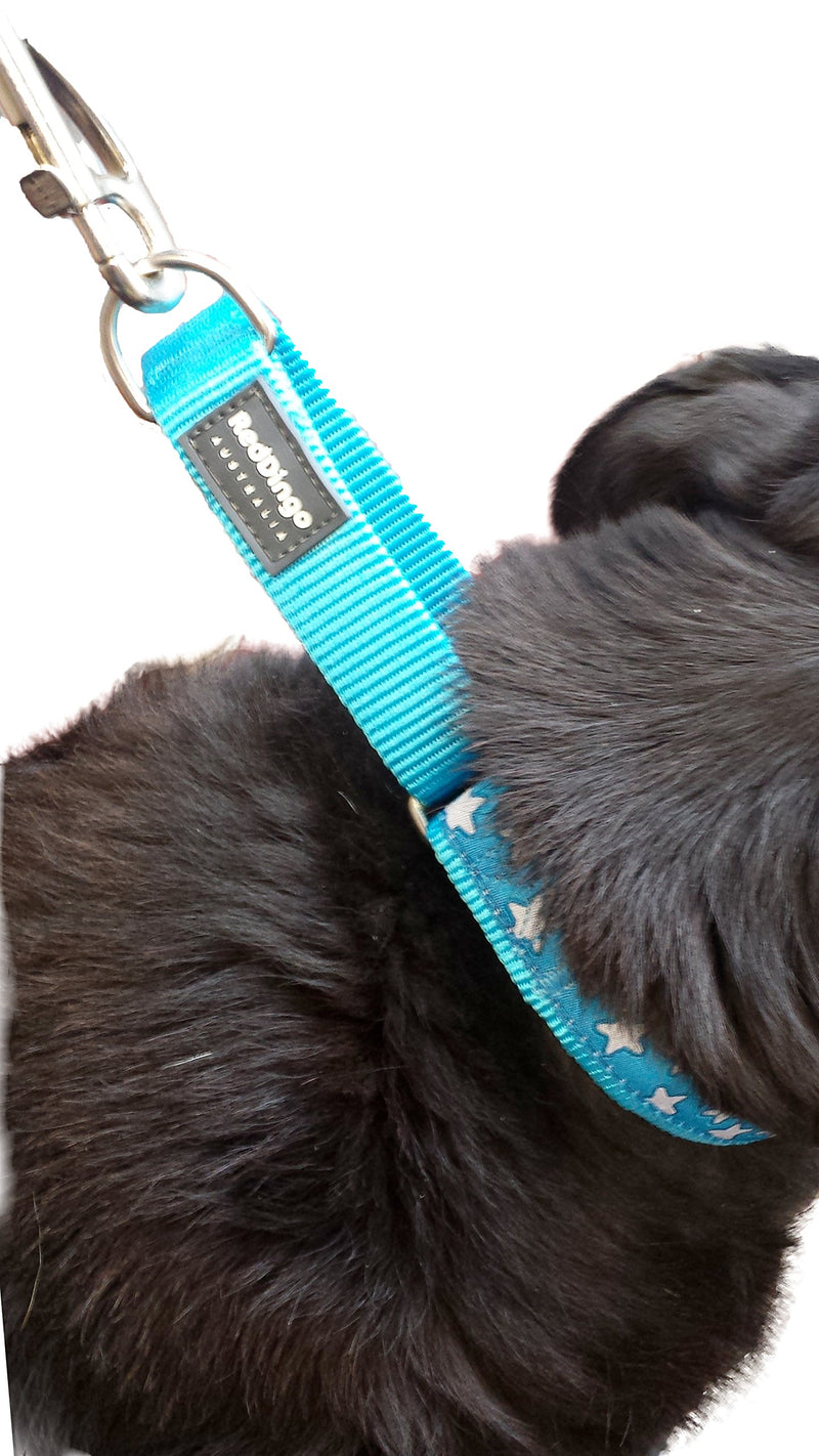 Red Dingo Martingale Collar, 32-47 cm x 20 mm, White Stars on Turquoise Medium - PawsPlanet Australia