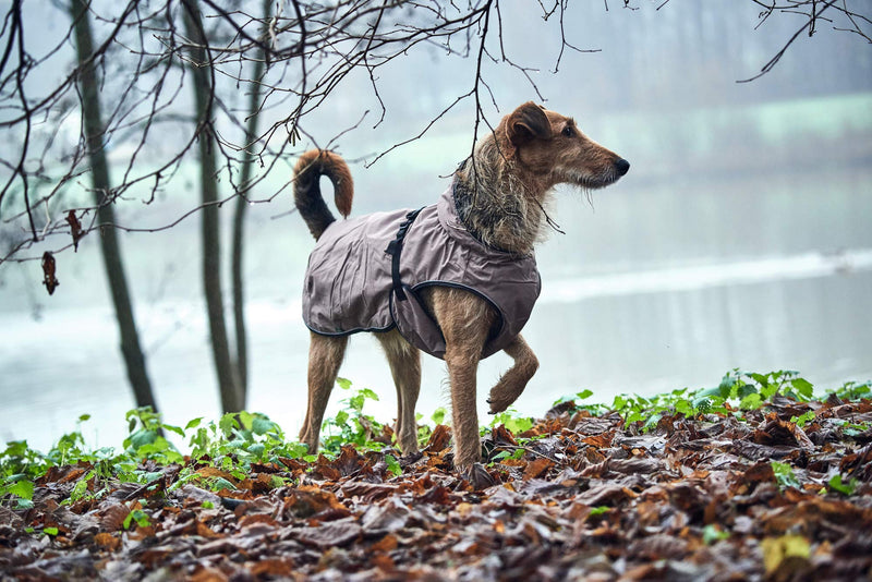 HUNTER Uppsala Dog Coat, 45 cm, Taupe - PawsPlanet Australia