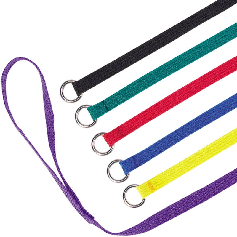 [Australia] - Guardian Gear 4-Feet Nylon Dog Kennel Lead Multicolor 6 pack 