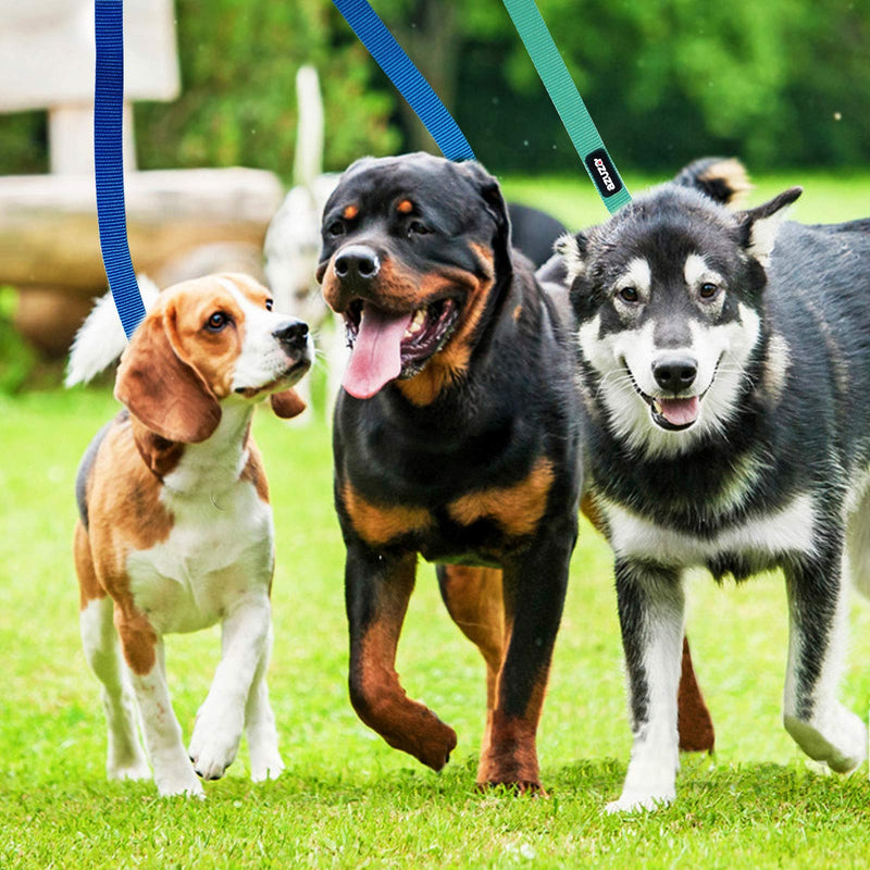 azuza 3 Pack Nylon Dog Leashes,Strong & Durable Basic Style Leash with Easy to Use Collar Hook,Available in Multiple Lengths for Puppy Small Medium and Large Dogs standard 3 pack 1"×4ft Blue - PawsPlanet Australia