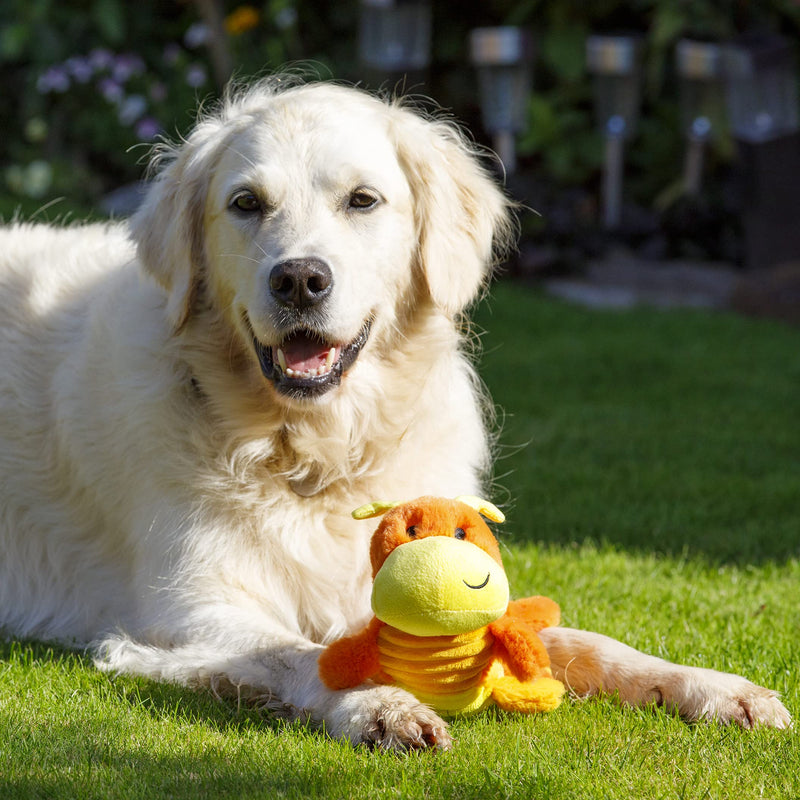 Petface Buddies Plush Cody the Caterpillar Dog Toy - PawsPlanet Australia