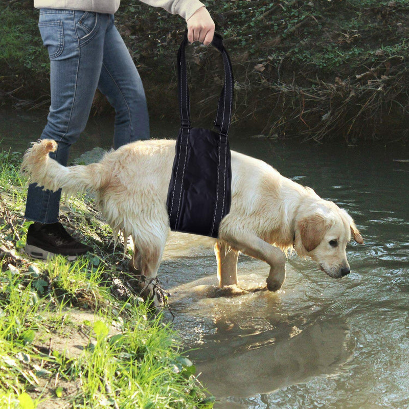 Large Dog Mobility Aids Support Sling For Back Legs, Hip Lifting Harness to Lift Pets Hind Front Rear for Canine and Old K9 Cruciate Ligament Rehabilitation Large - PawsPlanet Australia