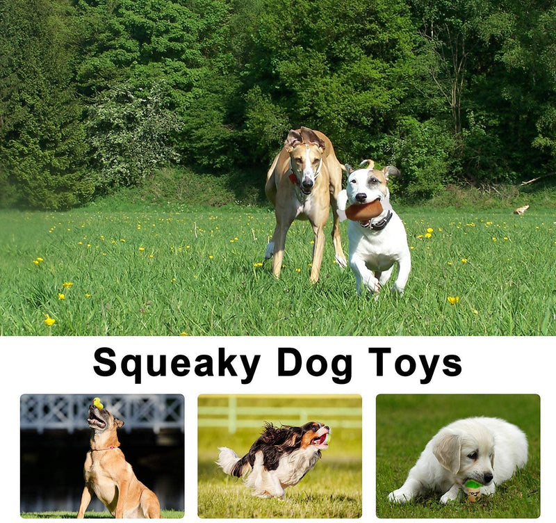 legend sandy Squeaky Dog Toys Cute Stuffed Plush Fruit Snacks Vegetable Dog Toys for Puppy Small Medium Dogs Pets Pack of 14 - PawsPlanet Australia