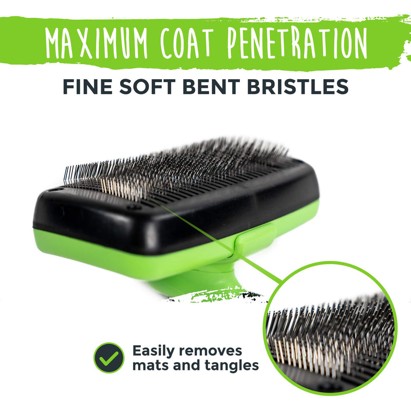 Mighty Paw Dog Grooming Brush | Durable Self-Cleaning Pet Brush. 100% Stainless Steel Soft Bent Bristles. Great For Removing Hair, Mats, & Tangles. Soft Ergonomic Handle For Extra Comfort (Green) Green - PawsPlanet Australia