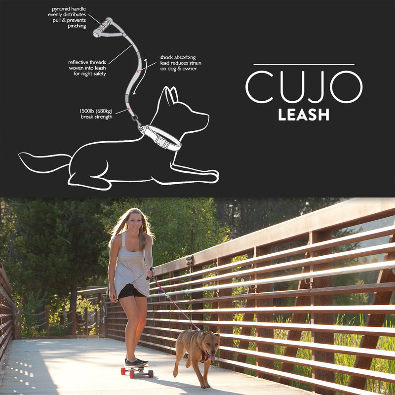 [Australia] - EzyDog CUJO Shock Absorbing Leash - Best Bungee Rope Dog Control & Training Lead 40-Inch Blue 