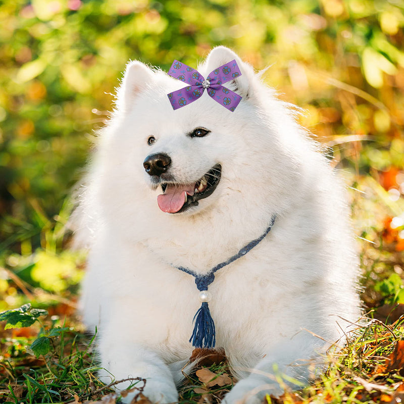 JpGdn 50Pcs/25Pairs 4" Big Dog Hair Bows with Elastic Rubber Band for Medium Large Dogs Doggie Rhinestone Floral Bowknot Topknot Rabbits Girl Boy Pink Blue Grooming Hair Accessories - PawsPlanet Australia