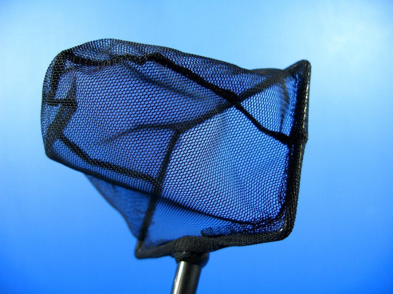 [Australia] - Aquarium Adjustable Fish NET 4.9"x3.9" Fine Mesh Stainless Steel Handle Shrimp 