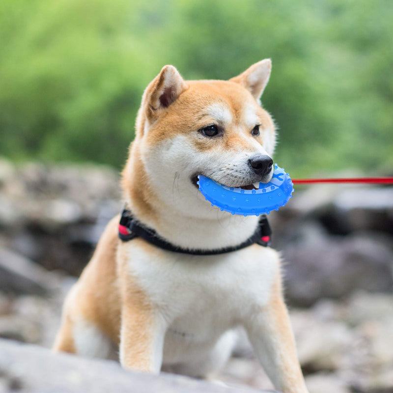 [Australia] - NWK Freezable Pet Teether Cooling Chew Toy for Dogs Teething Toy for Puppies, Fit with Treats 
