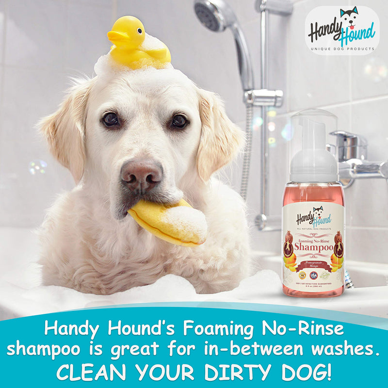 [Australia] - Handy Hound Foaming No Rinse Shampoo for Dogs or Cats | All-Natural Dry Waterless Pet Shampoo to Safely Remove Pet Odors | 9oz/266ml, Made in USA. Coconut Ginger Almond 