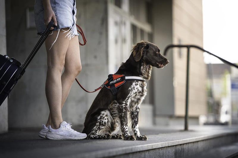 Julius-K9, 16IDC-R-0, IDC Powerharness, dog harness, Size: 0, Red - PawsPlanet Australia