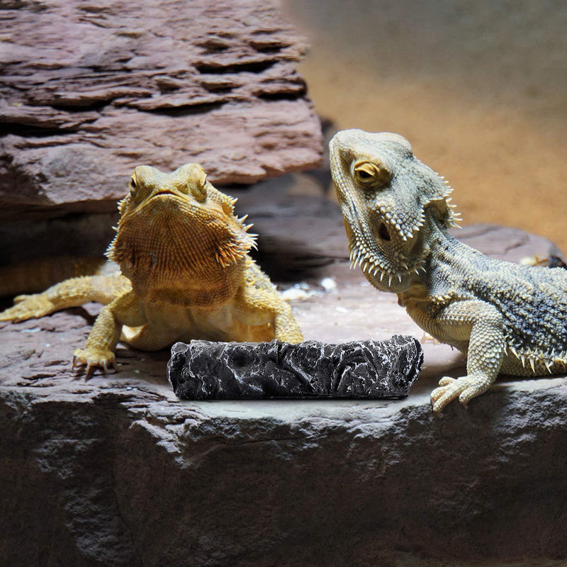 3 Pieces Reptile Water Dish Food Bowl Set Includes 2 Resin Reptile Rock Bowl Food Feeder Bowl Water Bowl 1 Feeding Tweezer Tong Reptile Rock Feeder for Pet Tortoise Lizard Frog Gecko Snake Chameleon - PawsPlanet Australia