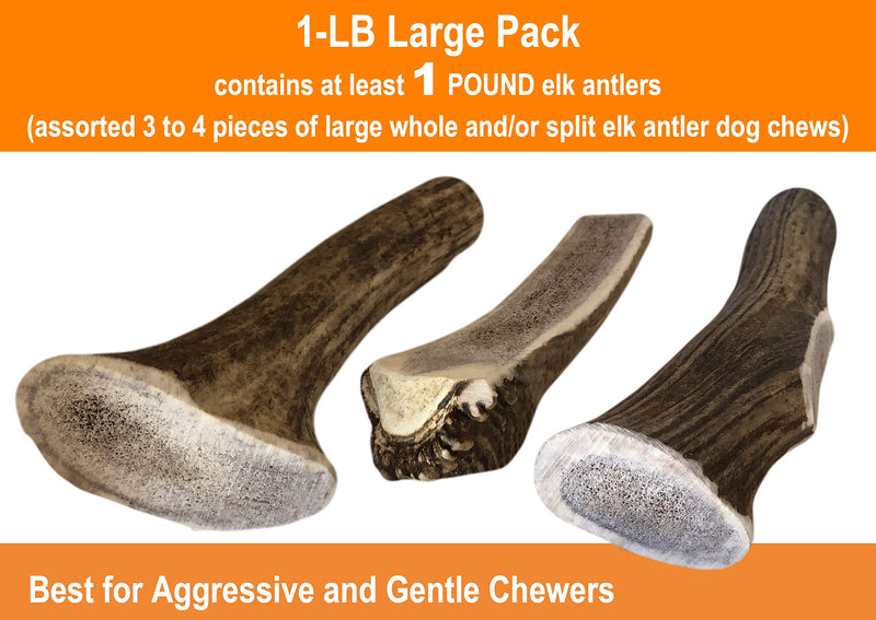 [Australia] - Deluxe Naturals 1-LB Pack Antlers for Dogs, Grade A Premium Naturally Shed Elk Antlers for Dogs, Product of USA 1-Pound Large 