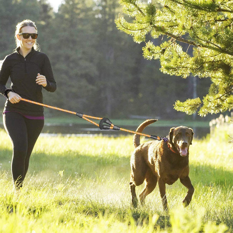 BB Brotrade Dog Leash,5 FT Heavy Duty Double Handle Dog Leash with Comfortable Padded and Reflective,Rope Dog Leashes for Small,Medium,Large Dogs (Orange) Orange - PawsPlanet Australia