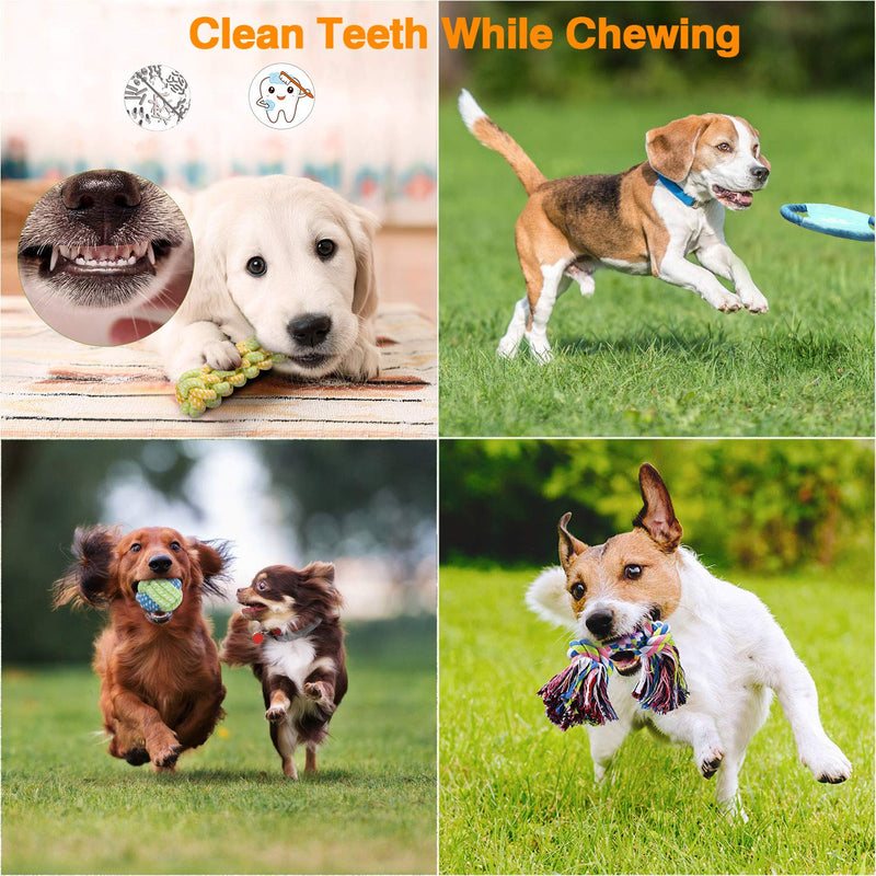 [Australia] - VANFINE Dog Toys Aggressive Chewers - Puppy Toys - Puppy chew Toys - Dog Toys for Small Dogs - Rope Dog Toy - Set of 10 Rope Dog Toy for Medium to Large Dogs Set Of 10 Toys For Small to Medium Dogs 