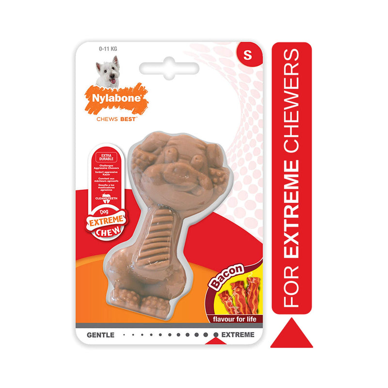 Nylabone Extreme Tough Dog Chew Toy Novelty Pig, Durable, Cleans Teeth, Bacon Flavour, Small, for Dogs Up to 11 kg May Vary - PawsPlanet Australia