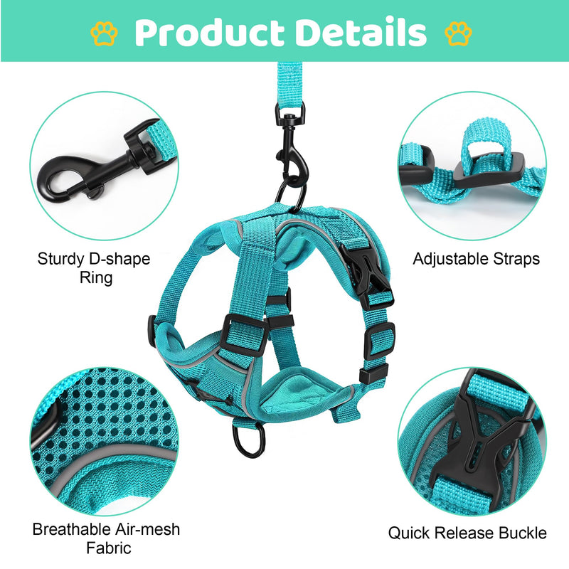 Cat Harnesses with Leash Adjustable Harness for Cats Breathable Escape Proof Chest Harness for Kittens, Dogs Puppies Train Walking (M) M - PawsPlanet Australia