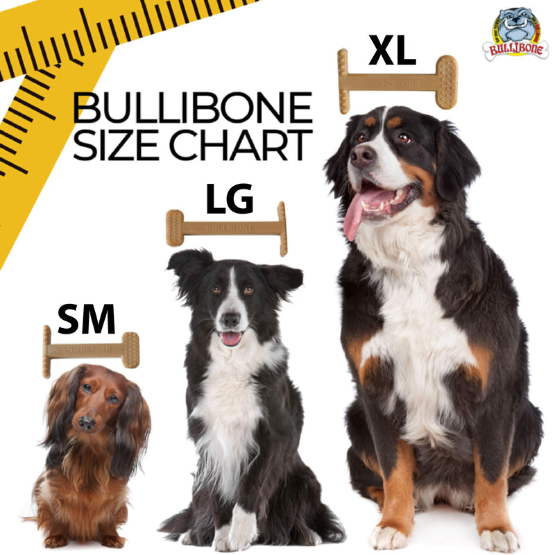 Bullibone Nylon Dog Chew Toy Nylon Bone - Improves Dental Hygiene, Easy to Grip Bottom, and Permeated with Flavor Bacon Small - 2 Pack - PawsPlanet Australia