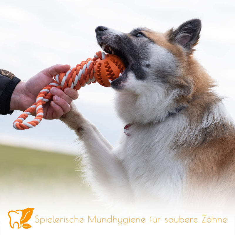 PAWDY dog rope with ball for fun and dental care - Robust dog toy for medium & large dogs - Chew toy with nubs made of natural rubber - Ball rope throwing toy for dogs (orange) Orange - PawsPlanet Australia