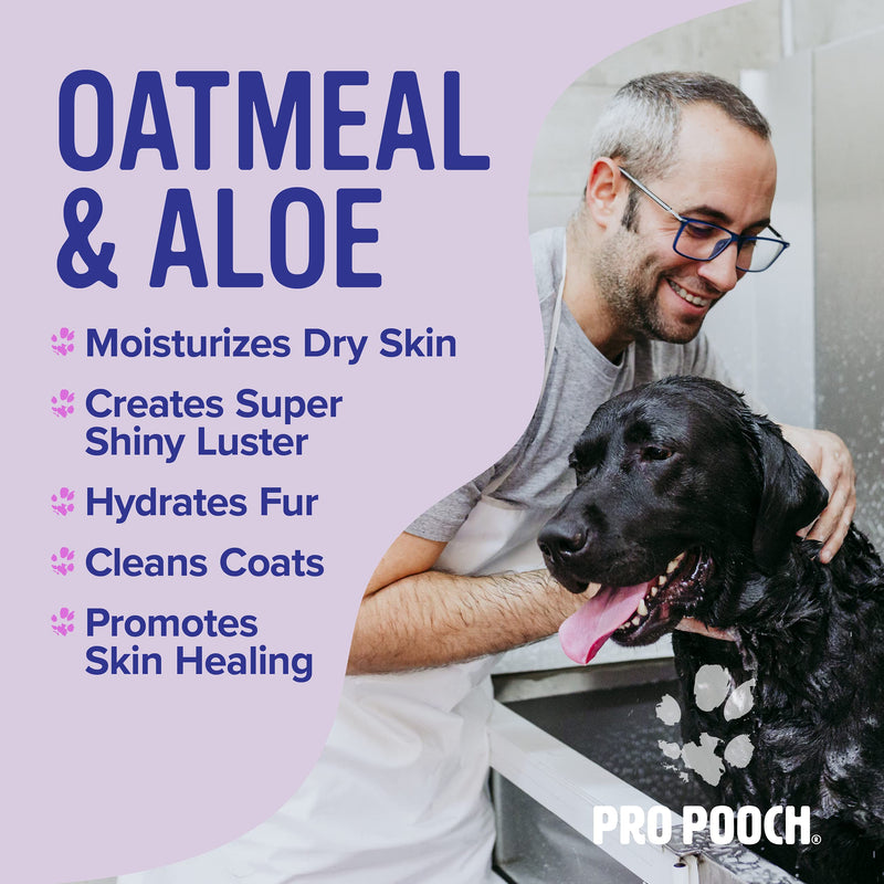 Pro Pooch Oatmeal Dog Shampoo - Natural & Hypoallergenic Formula for Sensitive Dogs w/Itchy Skin - Grooming Product w/Aloe Vera & Pro Vitamin B5 (250ml) 250 ml (Pack of 1) - PawsPlanet Australia