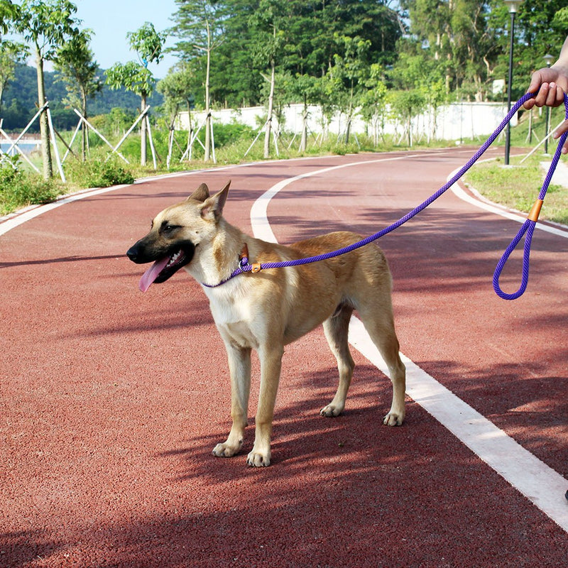 lynxking Dog Leash Slip Rope Lead Leash Strong Heavy Duty Braided Rope No Pull Training Lead Leashes for Medium Large and Small Dogs Small 3/8in x 6ft Blue - PawsPlanet Australia
