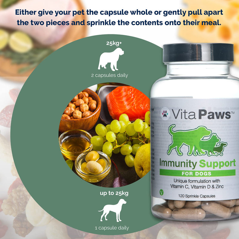 Immune Support Supplement for Dogs | Vitamin C, D & Zinc | Chicken Flavour | 120 Capsules = Up to 4 Month Supply - PawsPlanet Australia