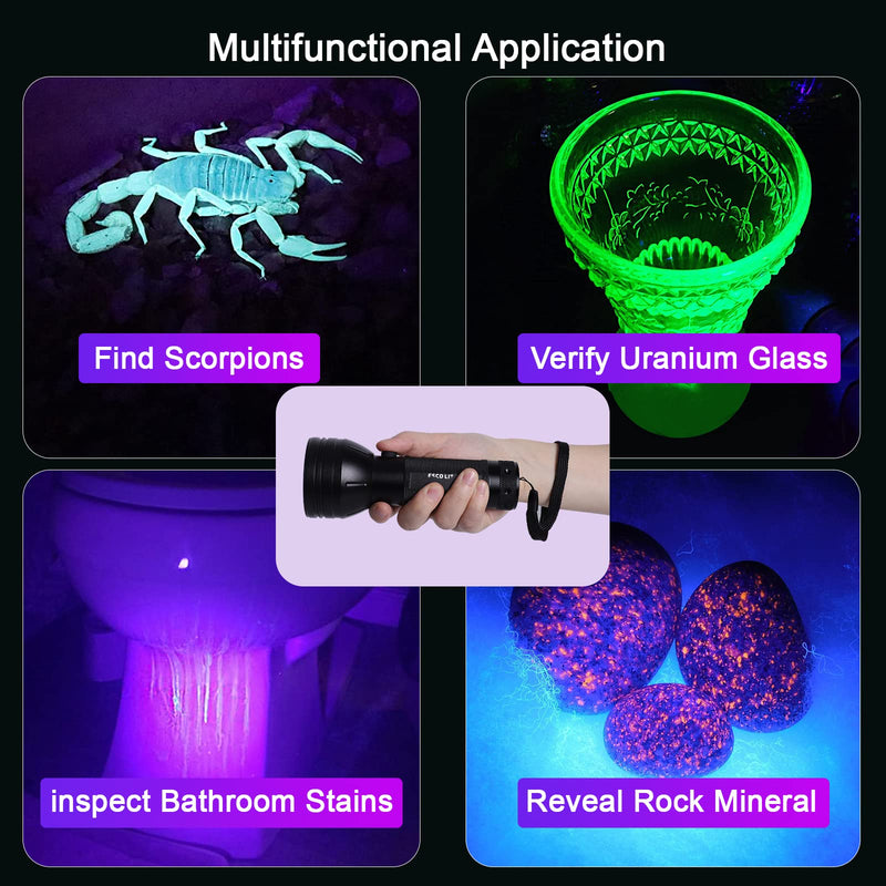 Escolite UV Flashlight Black Light, 51 LED 395 nM Ultraviolet Blacklight Detector for Dog Urine, Pet Stains and Bed Bug 1 Count (Pack of 1) - PawsPlanet Australia