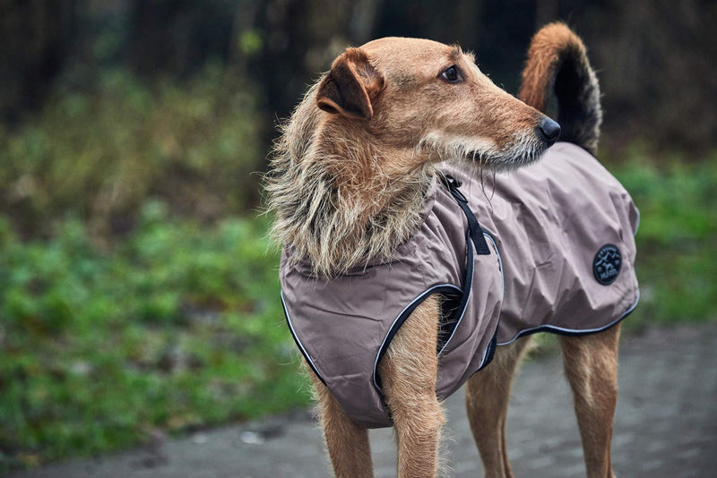 HUNTER Uppsala Dog Coat, 45 cm, Taupe - PawsPlanet Australia