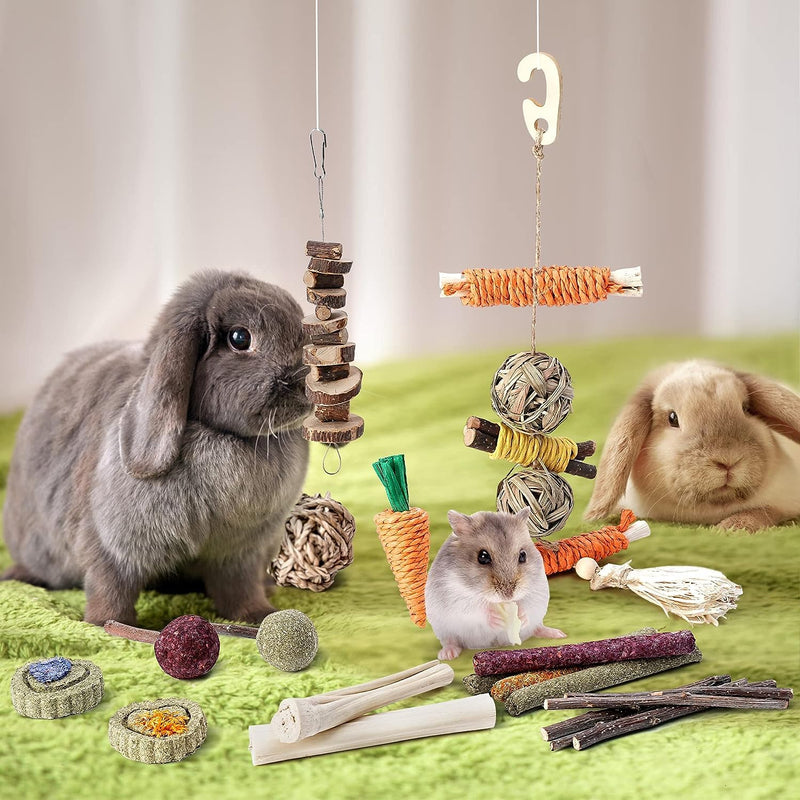 Rabbit Toy, Small Animal Chew Toy for Small Animals, Molar Toy, Dental Care, Wooden Accessories for Guinea Pigs, Chinchillas, Gerbils, Mice, Rats, Mouse (Chew Toy Set A) Chew Toy Set A - PawsPlanet Australia