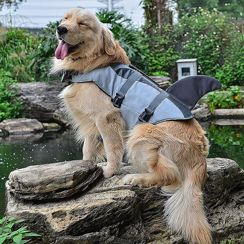 Ranphy Dog Life Vest Swimsuit Shark Fin Dog Life Jacket for Small Medium Large Breed Pet Neoprene Flotation Coat Puppy Life Preserver Safety with Rescue Handle D-Ring Adjustable for Swimming S(Chest:12.6-21.3",Back:11.8") Shark Style - PawsPlanet Australia