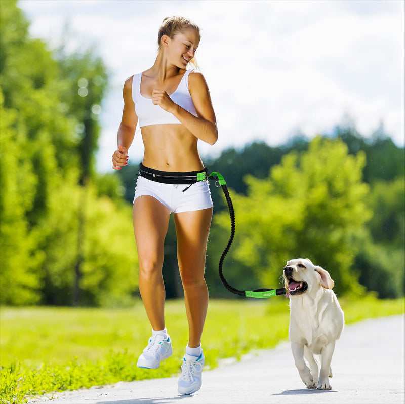Quiet green jogging leash for large dogs | Freehand leash for jogging with waist belt and shock absorber | Length 125 cm to 175 cm | Color: Black Jogging Leash Set - Large Dogs - PawsPlanet Australia