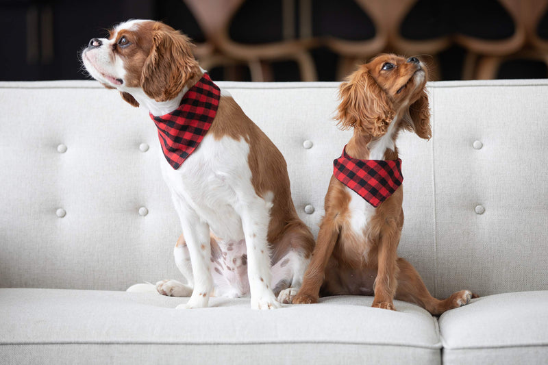 Reversible Plaid Pet Bandana (Small, Medium, or Large) Soft Cotton for Dogs, Pack of 3 Small - PawsPlanet Australia