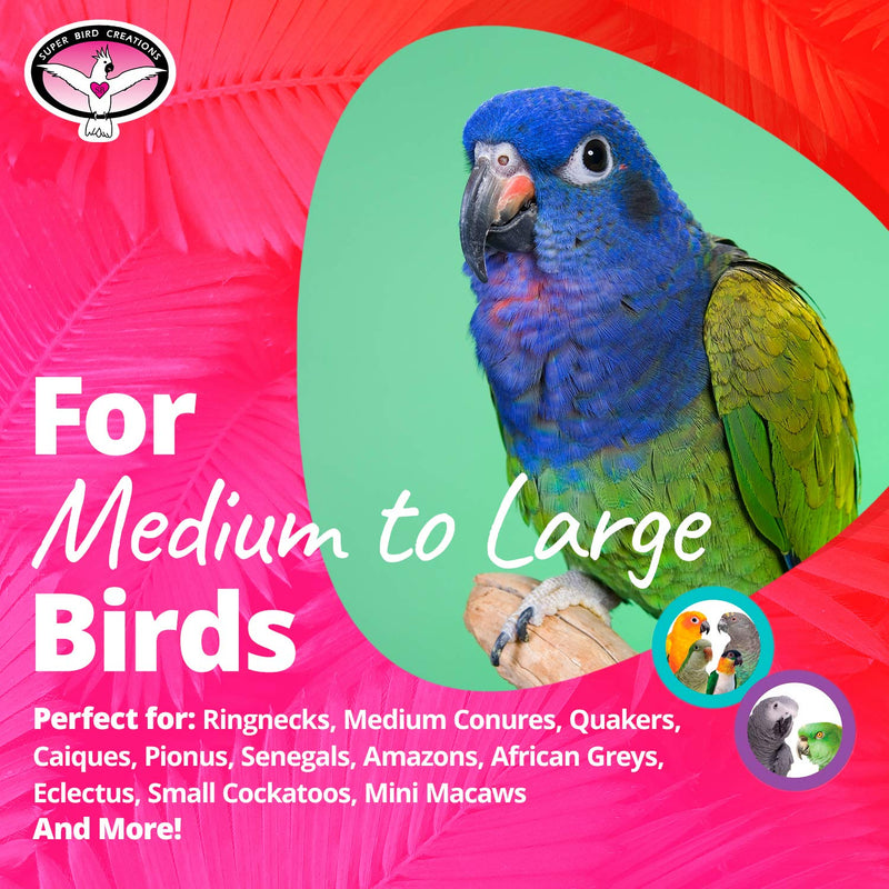 [Australia] - Super Bird Creations Olympic Rings Bird Toy Varies 