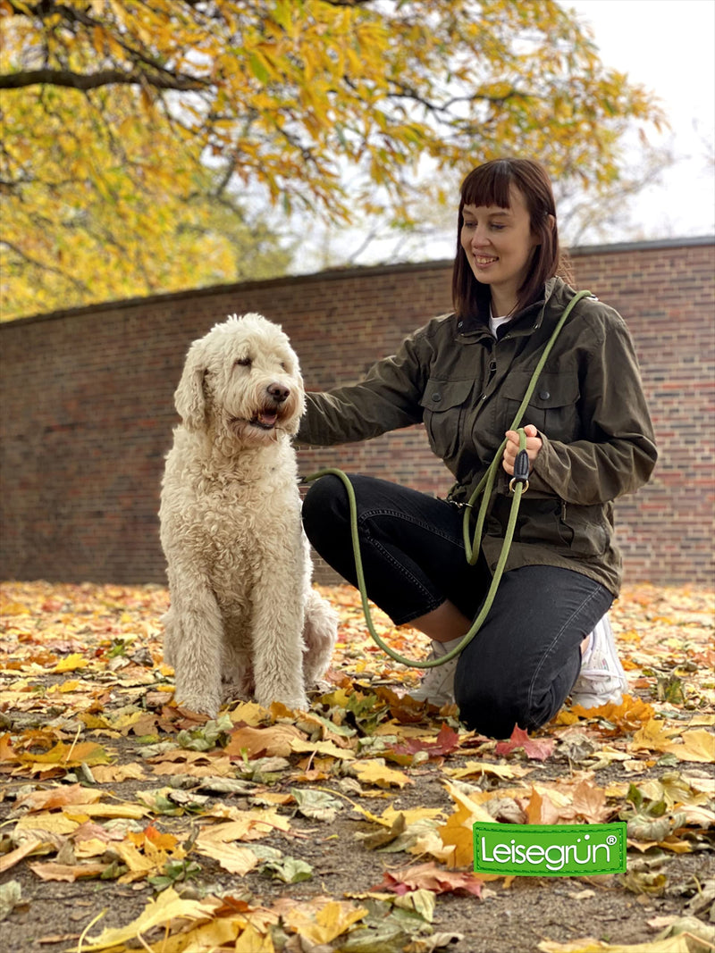 Quiet green dog leash 3m adjustable for large & medium dogs | Paracord leash | Nylon double leash with 2 carabiners | 3 meters long | Model Derby | Olive green Green Forest 3 m x 1.1 cm - PawsPlanet Australia