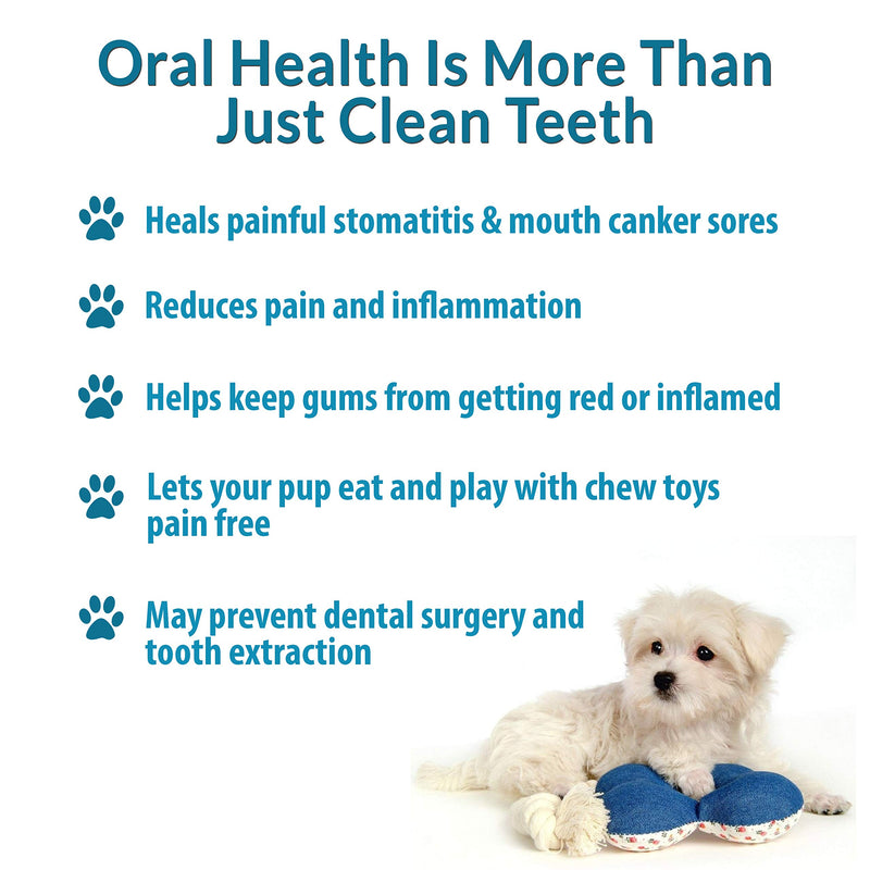 BestLife4Pets Oral Health for Dogs Dental Remedy - Highly Effective Natural Treatment for Inflammatory & Ulcerative Ailments, Stomatitis and Gingivitis. No Smell, No Side Effects - PawsPlanet Australia