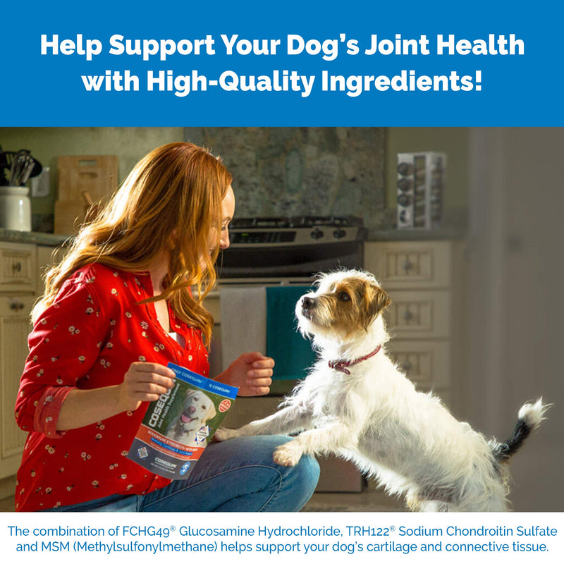 Nutramax Laboratories Cosequin DS Chewable Tablets for Dogs 132 Count - PawsPlanet Australia
