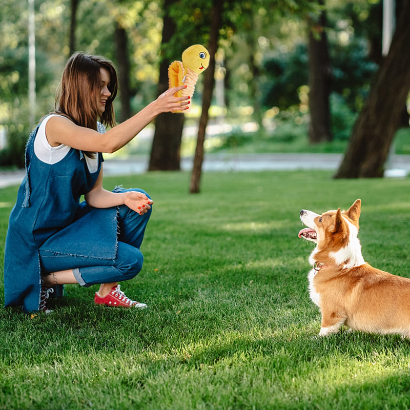 Dog toy intelligence, interactive dog toy puzzle, squeaky plush chew toy for puppies dogs, sniffing carpet pets toy, for food search instinct training, stress relief yellow - PawsPlanet Australia