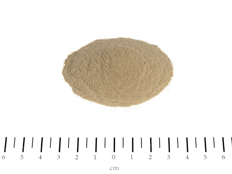 Canina stomach balance, pack of 1 (1 x 250 g), light brown - PawsPlanet Australia