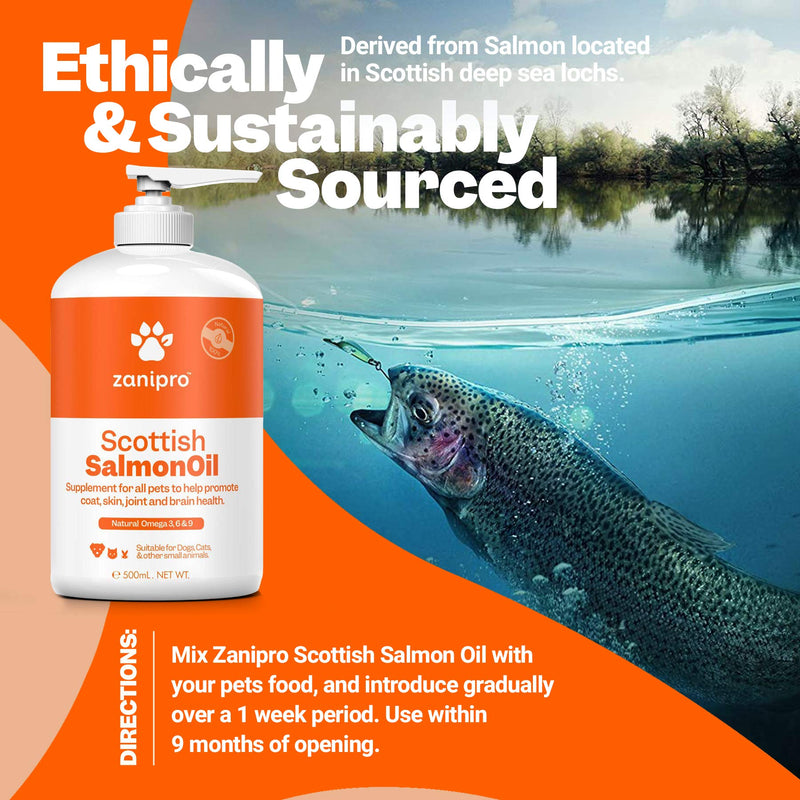 Zanipro Pure Scottish Salmon Oil for Dogs & Cats - UK Made - 100% Natural Omega 3, 6 and 9 Fish Oil Food Supplement - For Healthy Coat, Itchy Skin, Brain, Joint and Immunity (500 ml) - PawsPlanet Australia