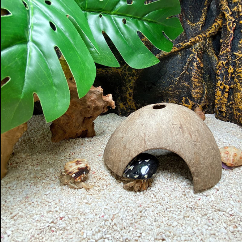 HERCOCCI Leopard Gecko Tank Accessories, Coconut Shell Hideout Cave Reptile Climbing Vine Habitat Decor with Hanging Reptile Plants for Chameleon Lizard Snake Hermit Crab - PawsPlanet Australia