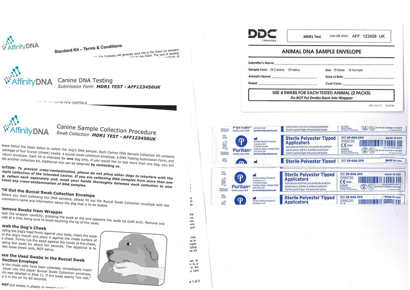 AffinityDNA Dog Multidrug Resistance 1 MDR1 DNA Test Kit - Home Sample Collection Kit for 1 Canine - Dog MDR1 Testing Kits from - PawsPlanet Australia