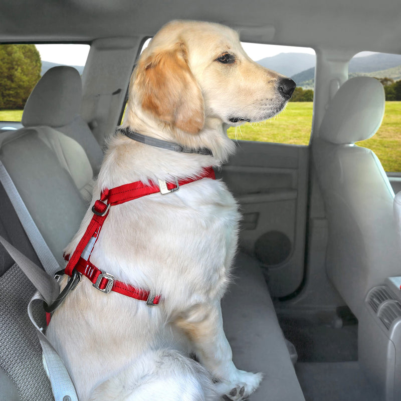 Kurgo Tru-Fit Car Safety Harness for Dogs, With Padded Chest Panel and D-Ring, With Car Belt, Size M, Ink Blue - PawsPlanet Australia