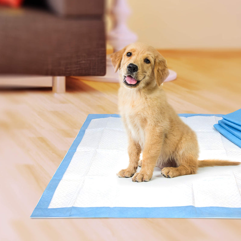 [Australia] - Four Paws Wee-Wee Puppy Training Standard Size 22" x 23" Pee Pads for Dogs Standard 22" x 23" 10-Count 
