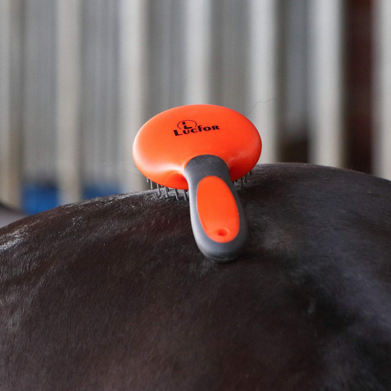 Lucfor tail mane brush for horses. It is used to remove tangles, dirt and loose hair - PawsPlanet Australia