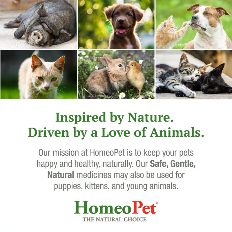 HomeoPet Feline Anxiety Relief, Stress and Anxiety Support for Cats, 15 Milliliters - PawsPlanet Australia
