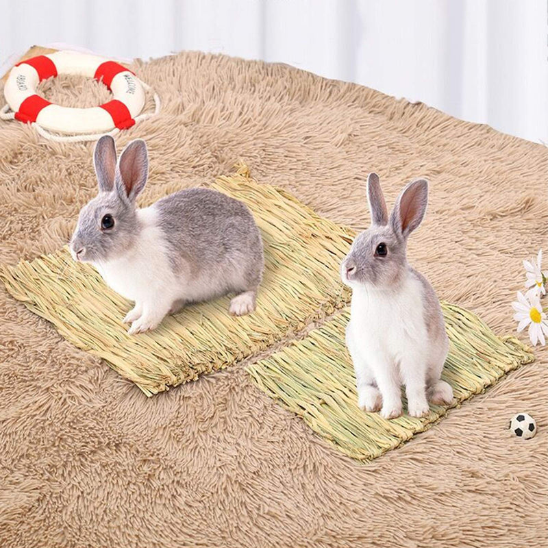 AQSXO Natural Straw Grass Mat Woven Bed, Rabbit Bunny Mat, for Hamsters Parrot Rabbits and Other Small Animals 4 Pcs. - PawsPlanet Australia