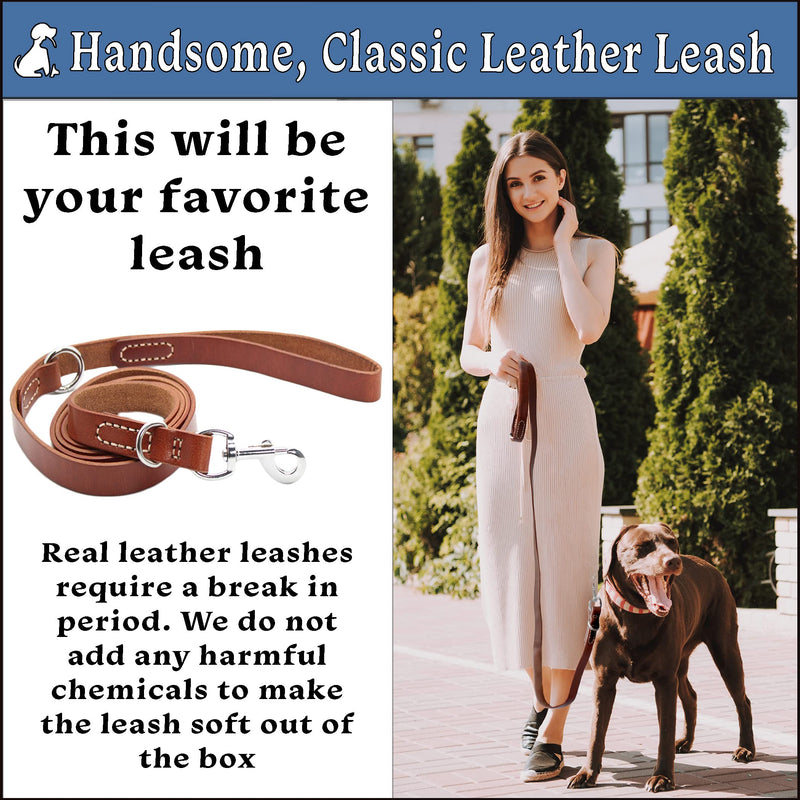 Classic, Strong Black Leather Dog Leash for Small Dogs. 6ft Leather Leash with Premium Hardware for Poop Bag. Veterinarian Approved Dog Training Leash with a Strong Sense of Personal Style Small:5ft x 3/8in - PawsPlanet Australia