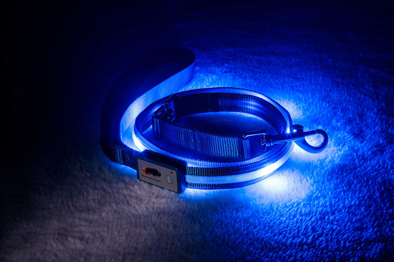 Blazin' Safety LED Dog Lead - USB Rechargeable Flashing Light Leash, 4 Ft, Water Resistant – Lightweight (S, Blue) - PawsPlanet Australia