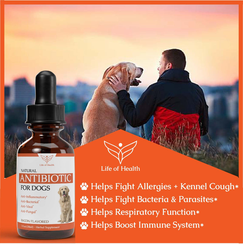 Natural Dog Antibiotics | Antibiotics for Dogs | Helps Support a Healthy Immune System | Supports Dog Allergy Relief | Dog Itch Relief | Dog Multivitamin | Pet Antibiotics | Dog Antibiotic | 1 fl oz - PawsPlanet Australia